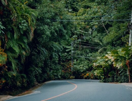 Private Airport Transfer – San Jose (SJO) to La Fortuna